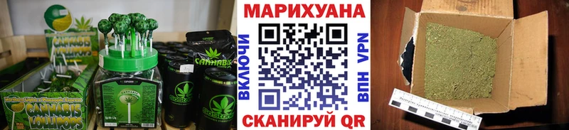 Купить закладки  Петровск  Cannafood конопля 