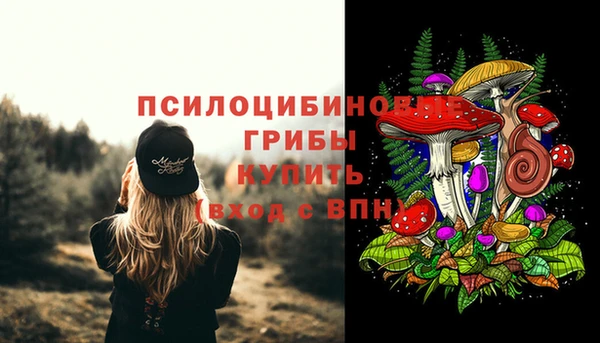 ешки Володарск