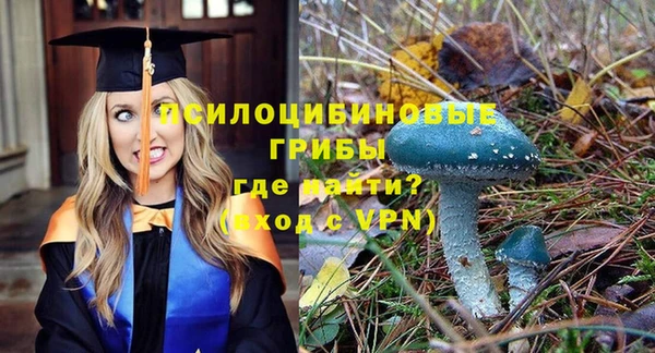 ешки Володарск